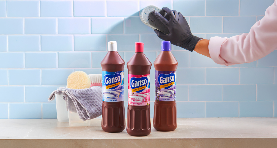Ganso Stain Remover_Desktop