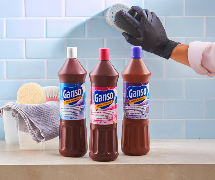 Ganso Stain Remover_Mobile